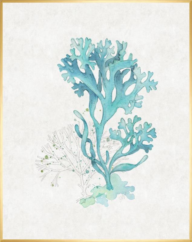 Sea Garden IV