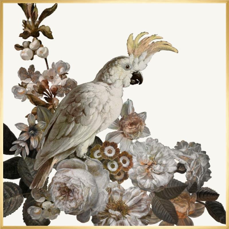 Dutch Feathers Pink I