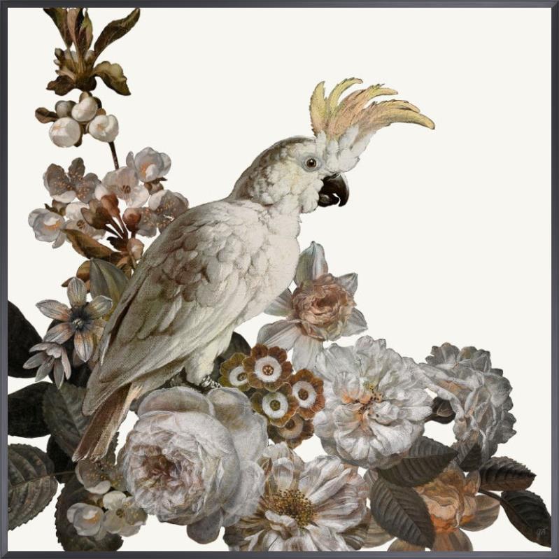 Dutch Feathers Pink I