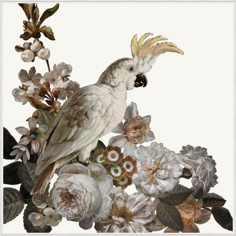 Dutch Feathers Pink I