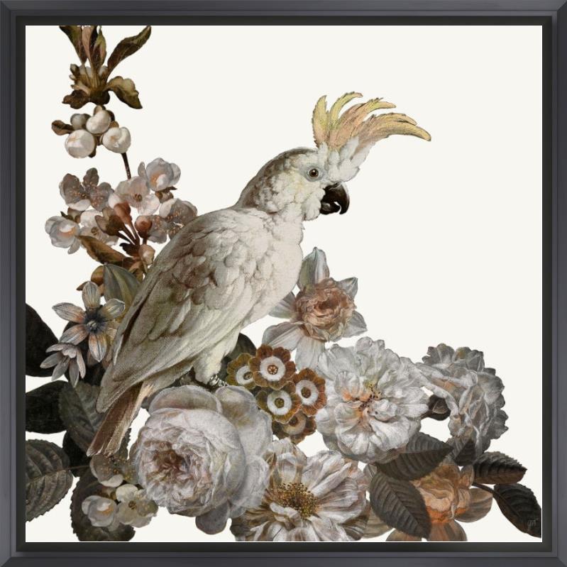 Dutch Feathers Pink I