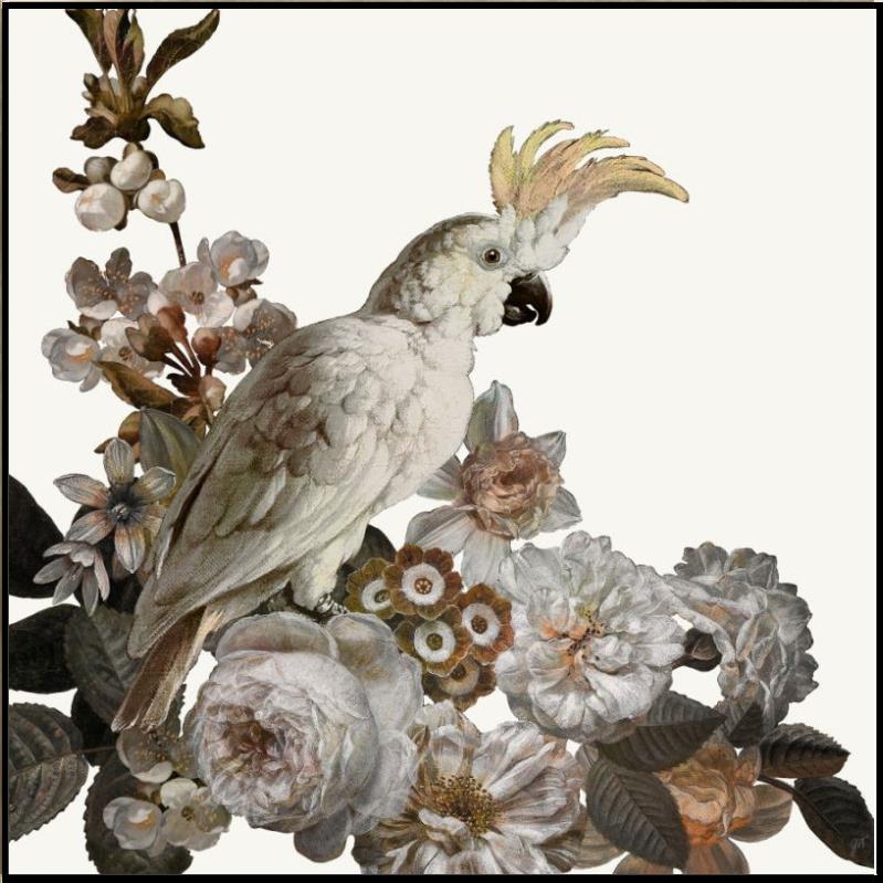 Dutch Feathers Pink I
