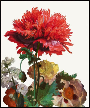 Dutch Garden III