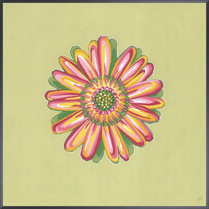 Daisy Chain V