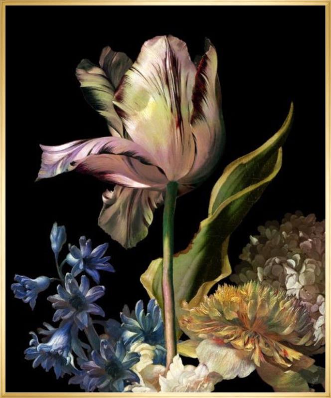 Dutch Garden IV - Black