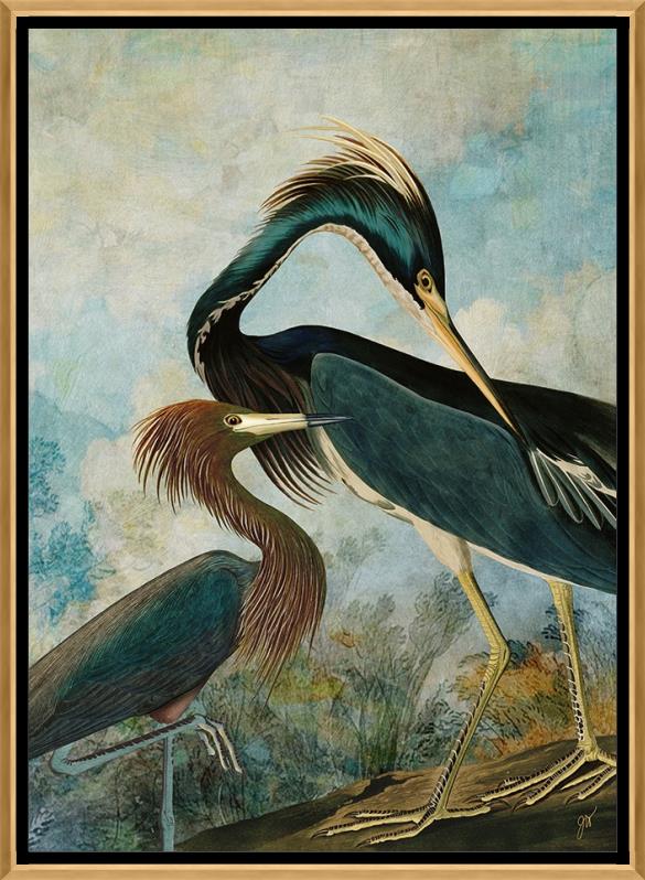 Herons