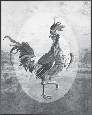 Fowl Play I