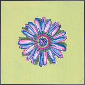 Daisy Chain VI