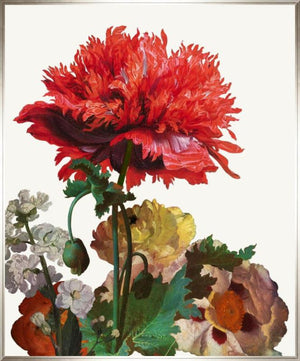 Dutch Garden III