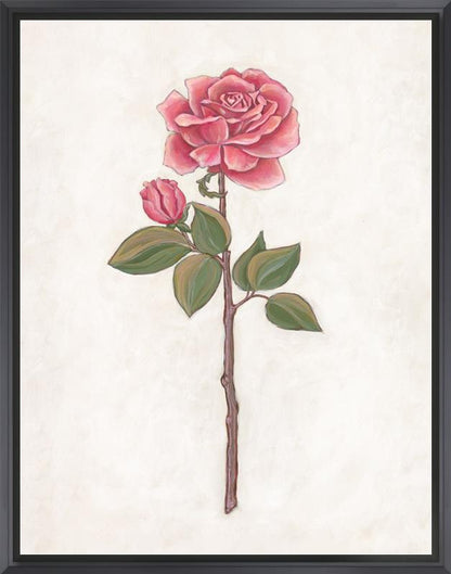 Rose Garden III