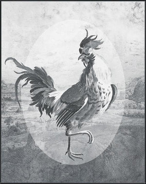 Fowl Play I
