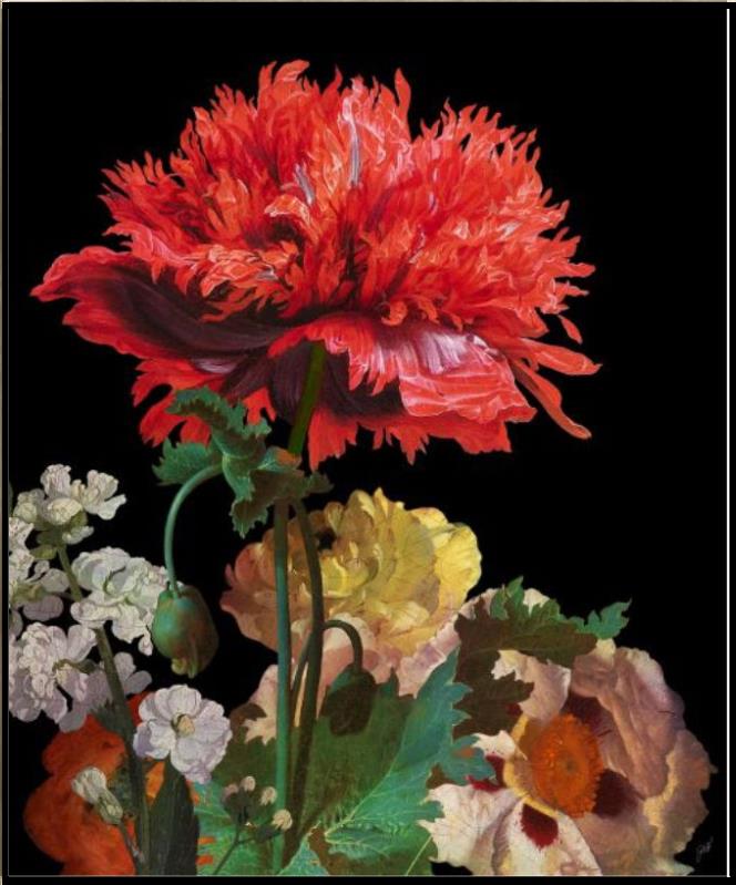Dutch Garden III - Black