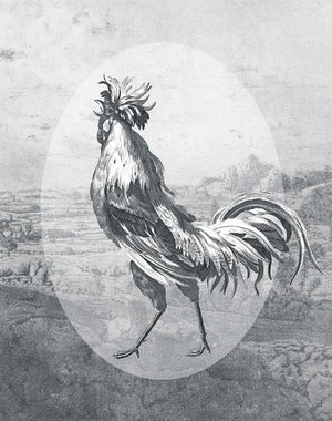 Fowl Play II, a print by Jackie Von Tobel, has a strutting rooster front and center in myriad shades of gray to look like an etching, a piece of wall art framed in silver.