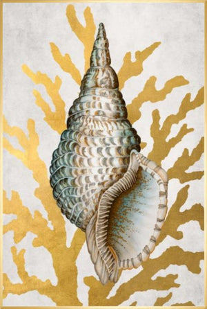 Gold Coast I