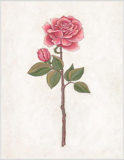 Rose Garden III