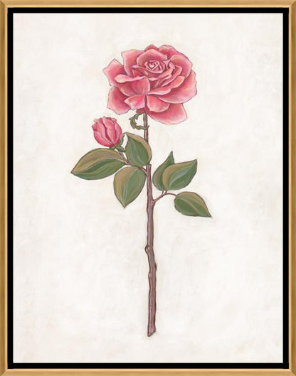 Rose Garden III