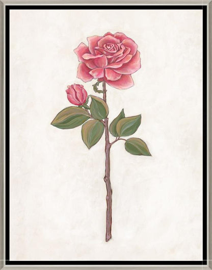 Rose Garden III