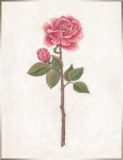 Rose Garden III