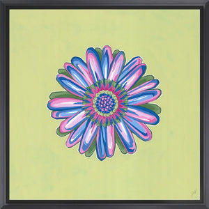 Daisy Chain VI