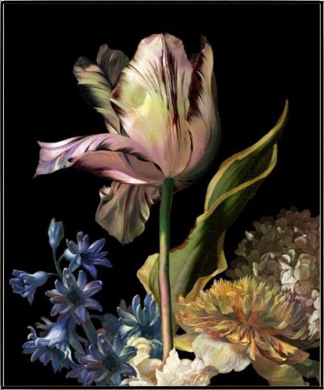 Dutch Garden IV - Black