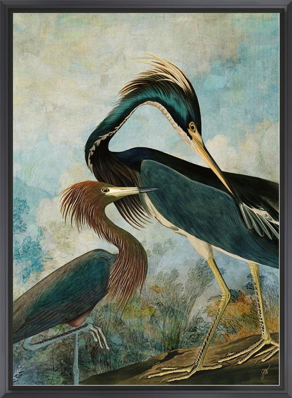 Herons