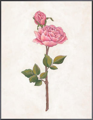 Rose Garden IV