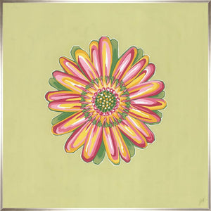 Daisy Chain V