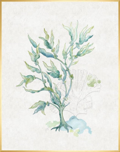 Sea Garden V