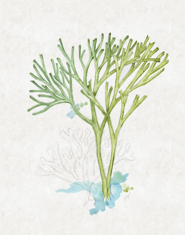 Sea Garden III