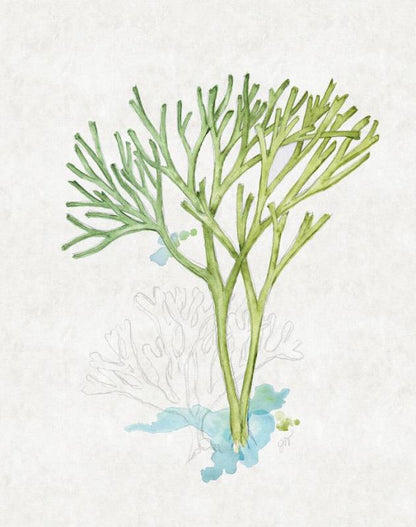 Sea Garden III