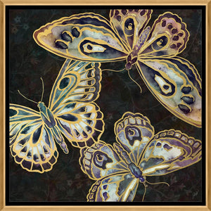 Papillon Noir I