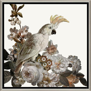Dutch Feathers Pink I
