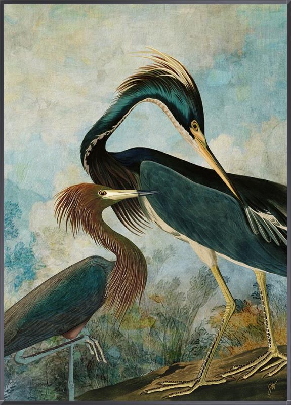 Herons