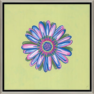 Daisy Chain VI