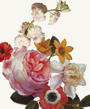 Dutch Garden VII
