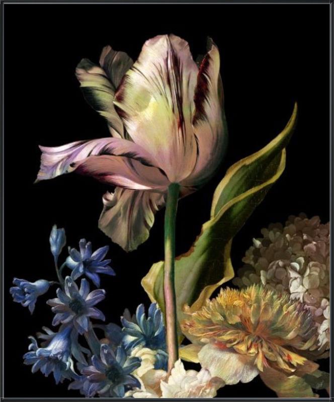 Dutch Garden IV - Black