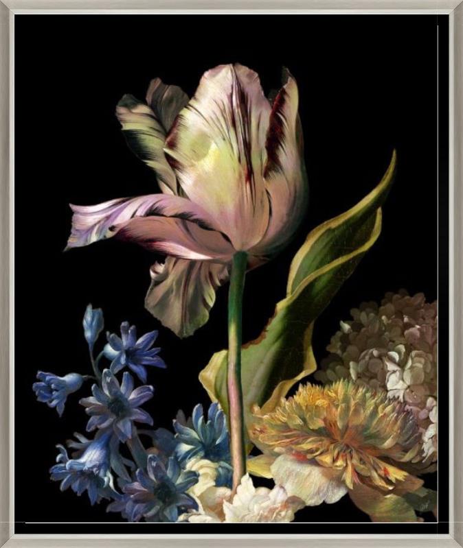 Dutch Garden IV - Black