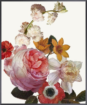 Dutch Garden VII