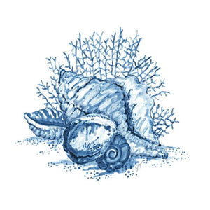 Shell Bouquet II