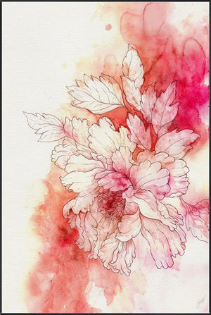 Peony Haze Red I