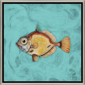 Phunky Phish III