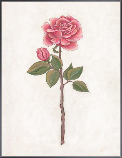Rose Garden III