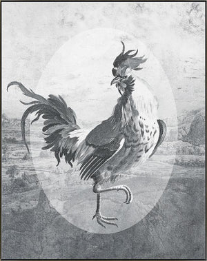 Fowl Play I, a print by Jackie Von Tobel that was created for LeftBank Art where Jackie is a bestselling artist, has a strutting rooster front and center in myriad shades of gray to look like an etching, a piece of wall art framed in black.