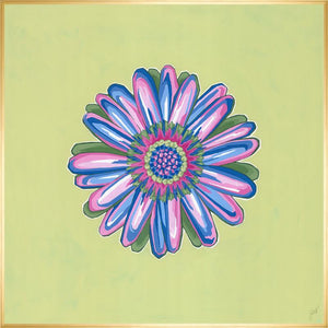 Daisy Chain VI