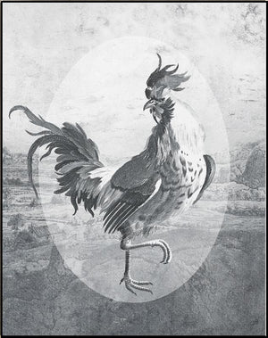 Fowl Play I